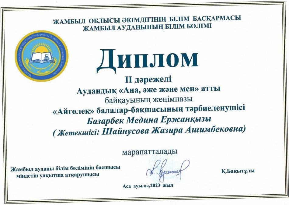 Соңғы 3 жылдағы кәсіби жетістіктерінің көрсеткіштері